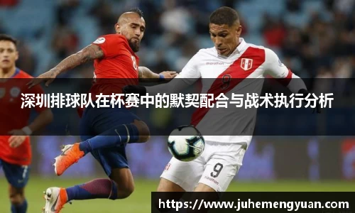 深圳排球队在杯赛中的默契配合与战术执行分析